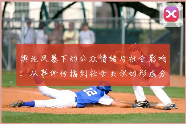 舆论风暴下的公众情绪与社会影响：从事件传播到社会共识的形成分析