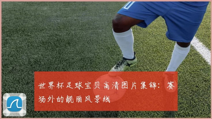 世界杯足球宝贝高清图片集锦：赛场外的靓丽风景线