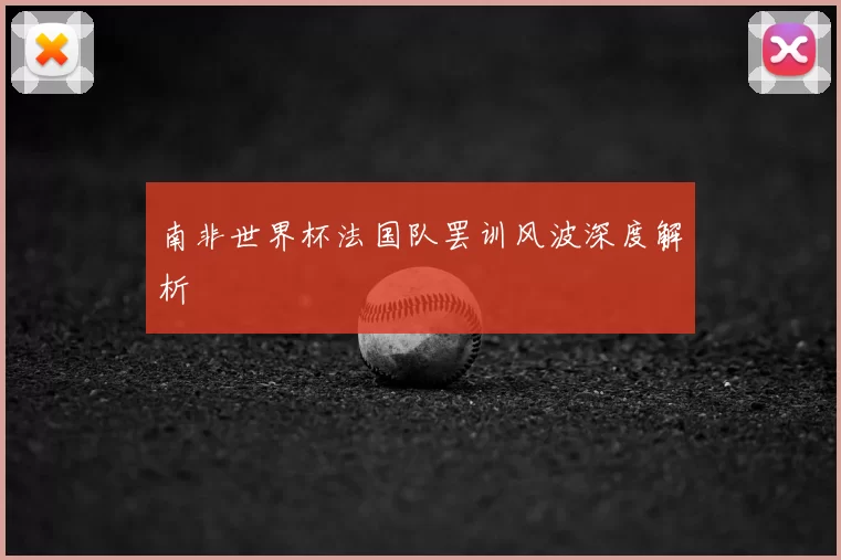 南非世界杯法国队罢训风波深度解析