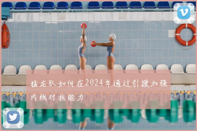 猛龙队如何在2024年通过引援加强内线对抗能力