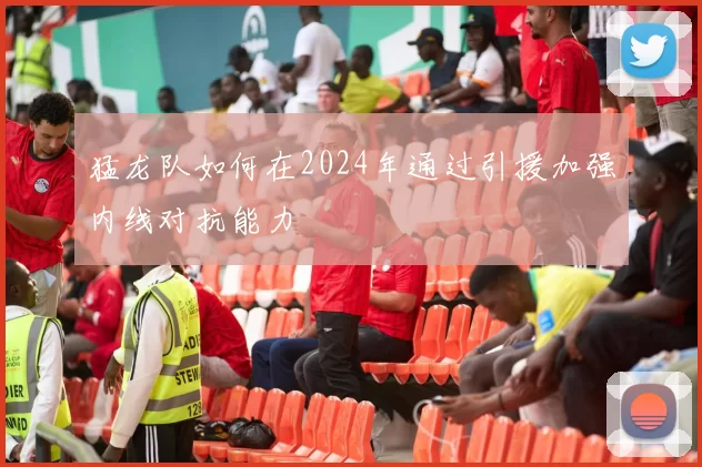 猛龙队如何在2024年通过引援加强内线对抗能力