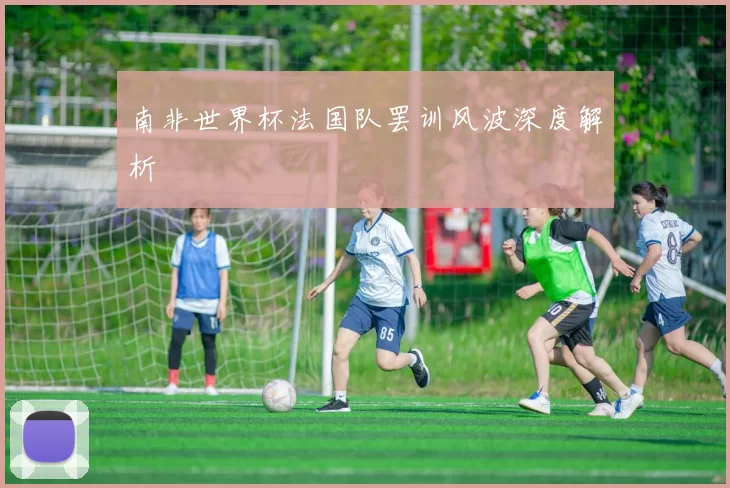 南非世界杯法国队罢训风波深度解析