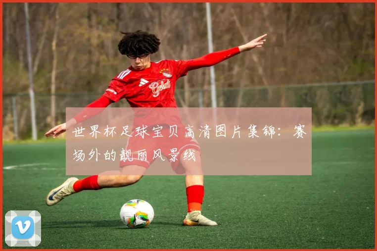 世界杯足球宝贝高清图片集锦:赛场外的靓丽风景线