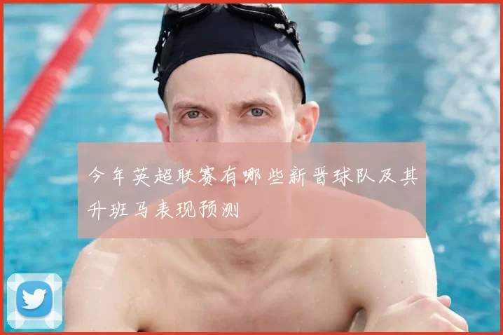 今年英超联赛有哪些新晋球队及其升班马表现预测