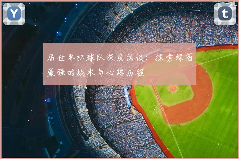 届世界杯球队深度访谈:探索绿茵豪强的战术与心路历程