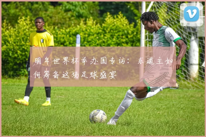 明年世界杯举办国专访：东道主如何筹备这场足球盛宴