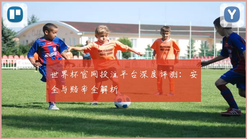 世界杯官网投注平台深度评测:安全与赔率全解析
