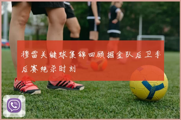 穆雷关键球集锦回顾掘金队后卫季后赛绝杀时刻