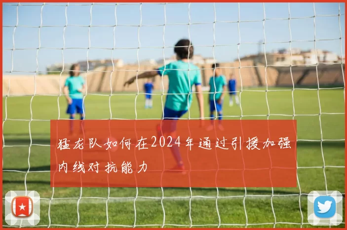 猛龙队如何在2024年通过引援加强内线对抗能力
