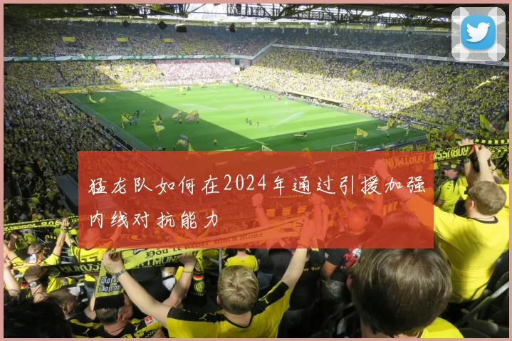 猛龙队如何在2024年通过引援加强内线对抗能力