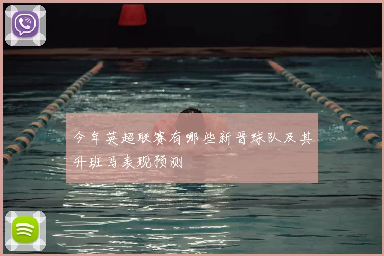 今年英超联赛有哪些新晋球队及其升班马表现预测
