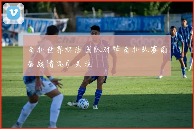 南非世界杯法国队对阵南非队赛前备战情况引关注