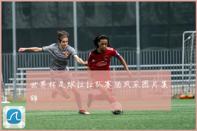 世界杯足球拉拉队赛场风采图片集锦