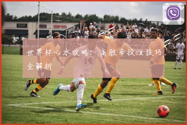 世界杯心水攻略:高胜率投注技巧全解析
