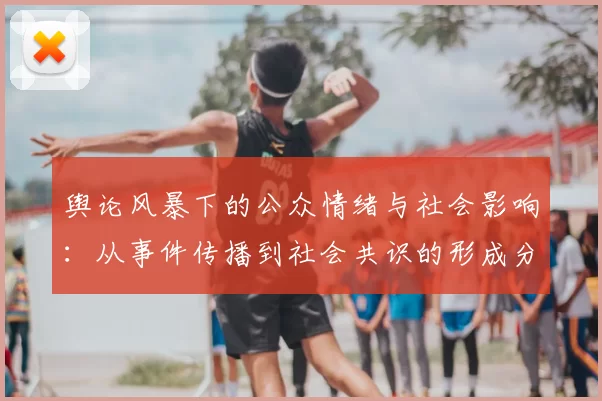 舆论风暴下的公众情绪与社会影响：从事件传播到社会共识的形成分析