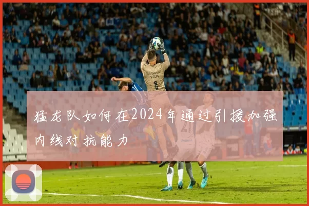 猛龙队如何在2024年通过引援加强内线对抗能力