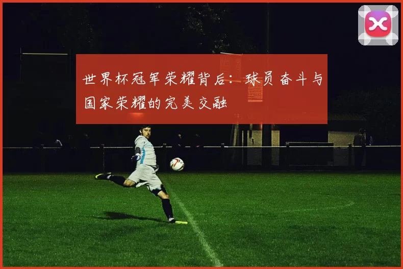 世界杯冠军荣耀背后：球员奋斗与国家荣耀的完美交融