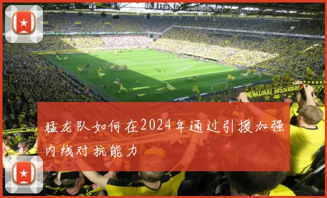 猛龙队如何在2024年通过引援加强内线对抗能力