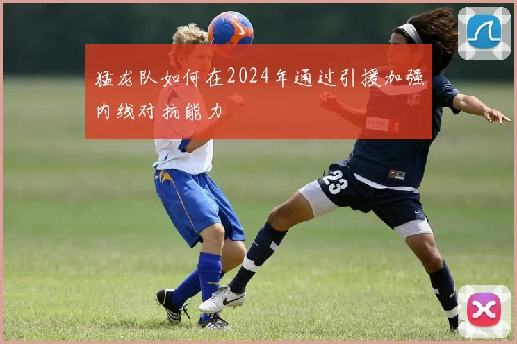 猛龙队如何在2024年通过引援加强内线对抗能力