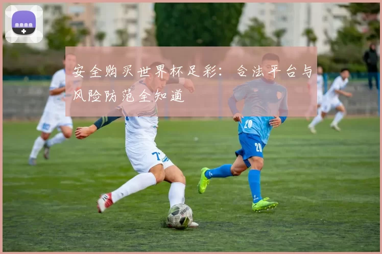 安全购买世界杯足彩：合法平台与风险防范全知道