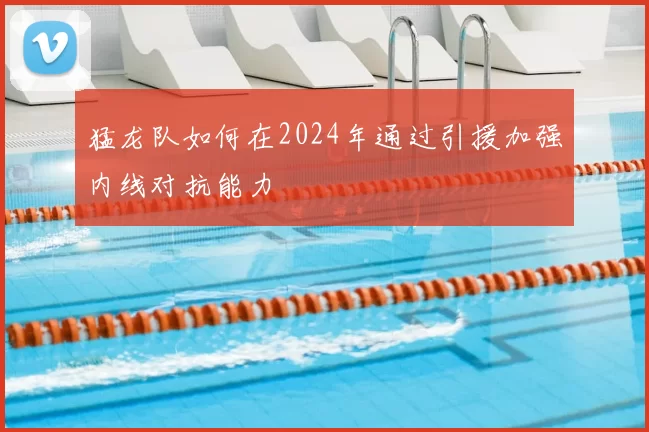 猛龙队如何在2024年通过引援加强内线对抗能力
