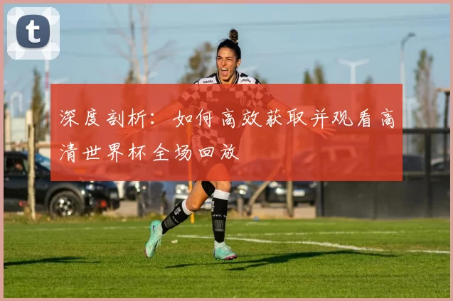 深度剖析:如何高效获取并观看高清世界杯全场回放