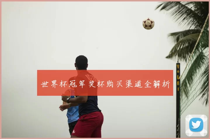 世界杯冠军奖杯购买渠道全解析